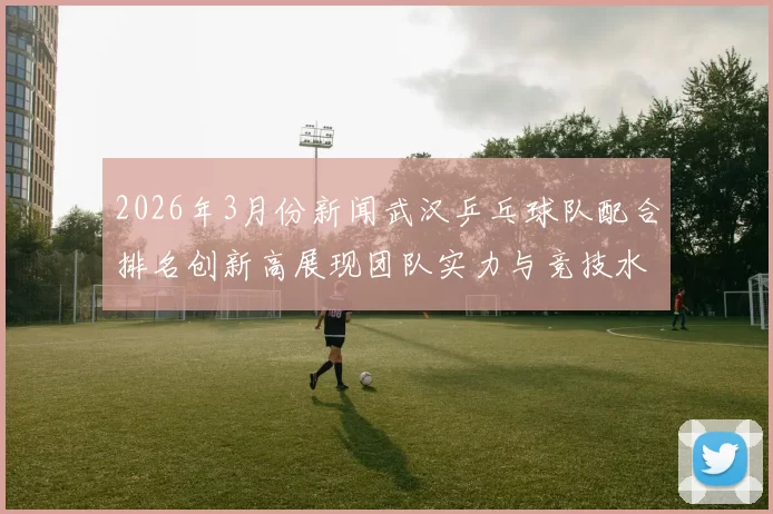 2026年3月份新闻武汉乒乓球队配合排名创新高展现团队实力与竞技水平的飞跃